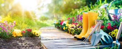 Le jardin - cration et entretien espace vert