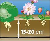 Tuyau d'arrosage 100 m micro porreux pour haie, massif, potager