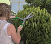 Cisaille spéciale taille de buisson - décoration jardin