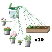 Programmateur d'arrosage multi plante de 1 à 10 fois par jour