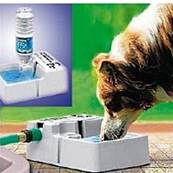 Abreuvoir automatique distributeur d'eau pour chien et chat 