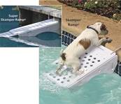 Rampe echelle de sauvetage de piscine pour chien et chat (animaux)